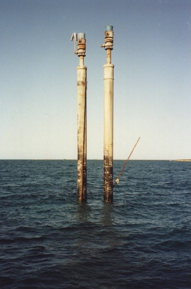 A pair of Minnowpod completed and suspended conductors awaiting installation of topsides.jpg